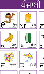 Punjabi Alphabet Poster